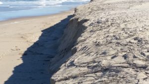 Lake Cathie Storm Damage to Sand Dune June 2016 Local Gleam Window Cleaning